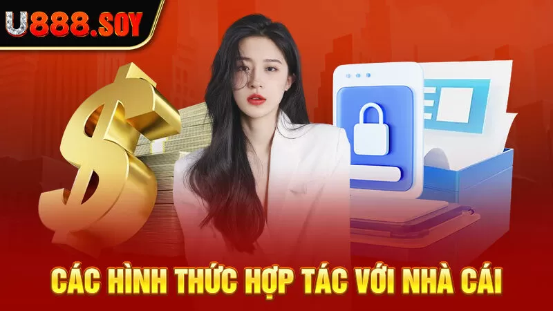 Các hình thức hợp tác với nhà cái